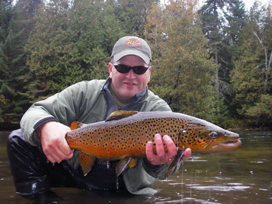 oct22_brown1.jpg